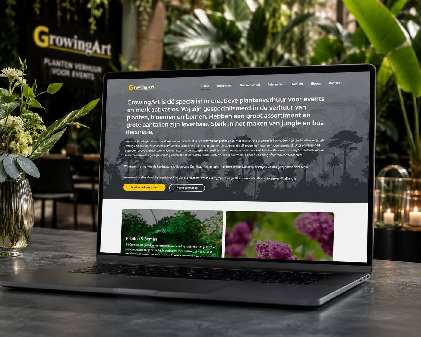 Voorbeeld van website laten maken door LarsWebdesign, zoals wij dat ook in Drachten doen